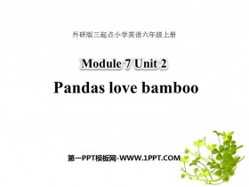 《Pandas love bamboo》PPT精品课件