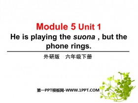 《He is playing the suonabut the phone rings》PPT精品课件