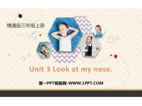 《Look at my nose》PPT精品课件