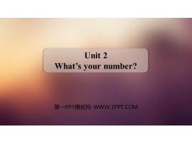 《What/s your number?》PPT课件下载