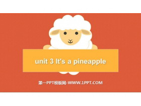 《It/s a pineapple》PPT精品课件