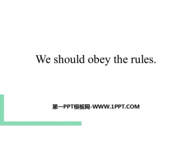 《We should obey the rules》PPT精品课件