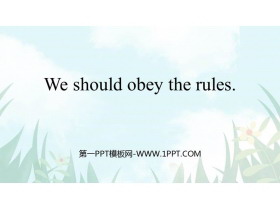 《We should obey the rules》PPT优秀课件