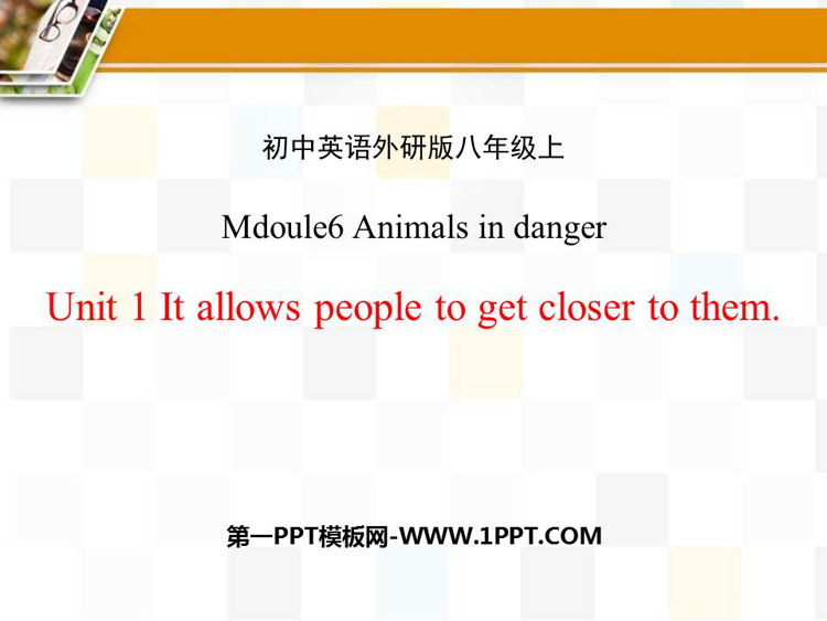 《It allows people to get closer to them》Animals in danger PPT课件下载