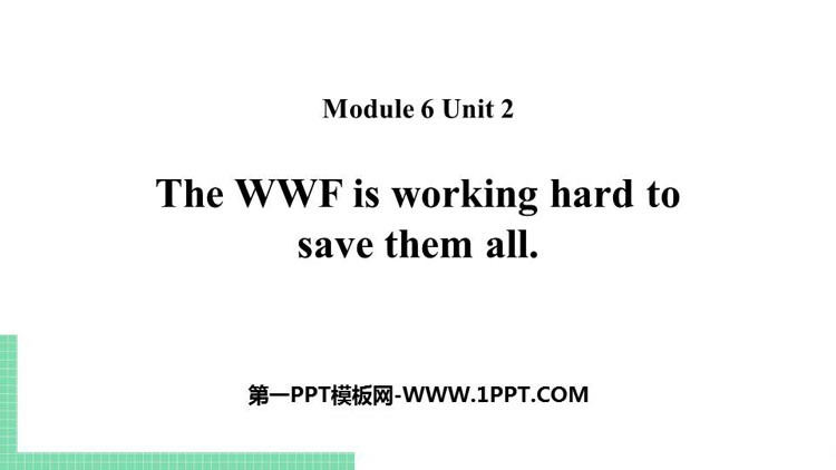 《The WWF is working hard to save them all》Animals in danger PPT教学课件