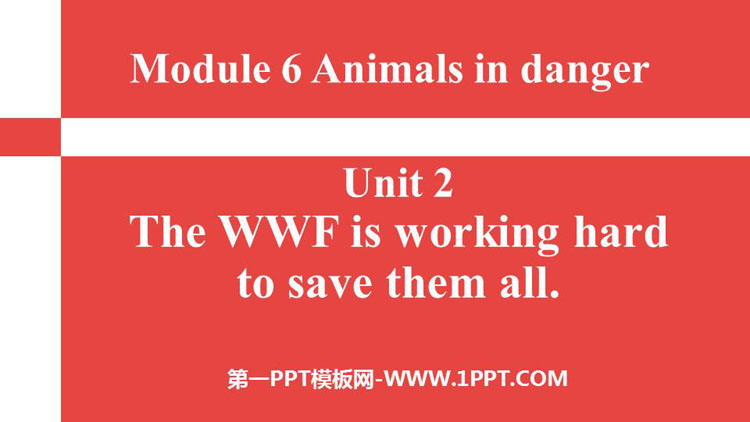 《The WWF is working hard to save them all》Animals in danger PPT课件下载