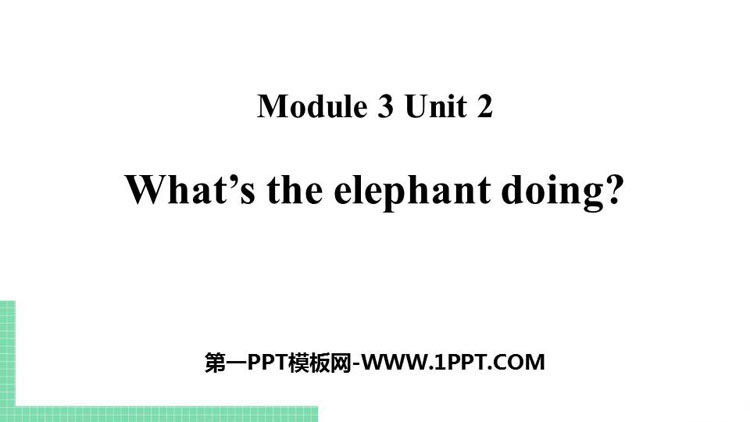 《What\s the elephant doing?》PPT课件下载