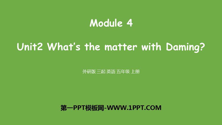 《What\s the matter with Daming?》PPT课件下载