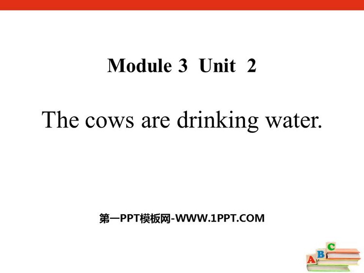 《The cows are drinking water》PPT教学课件