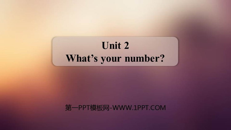 《What\s your number?》PPT课件下载