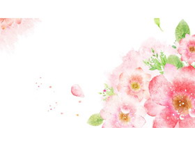鲜艳的水彩花卉PPT背景图片