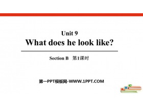 《What does he look like?》SectionB PPT课件(第1课时)