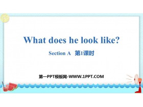 《What does he look like?》SectionA PPT(第1课时)