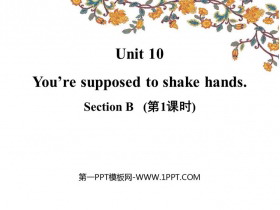 《You are supposed to shake hands》SectionB PPT(第1课时)