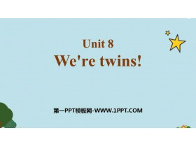 《We/re twins》PPT课件