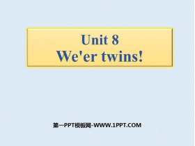 《We/re twins》PPT下载