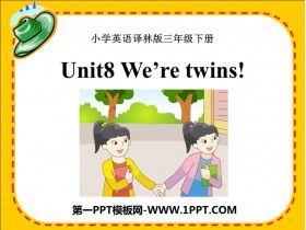 《We/re twins》PPT教学课件