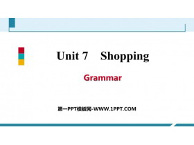 《Shopping》Grammar PPT习题课件