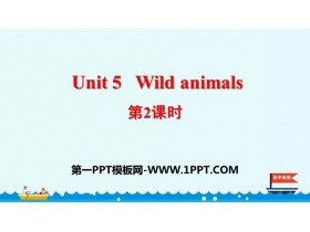 《Wild animals》PPT课件(第2课时)