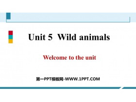 《Wild animals》PPT习题课件
