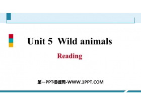 《Wild animals》Reading PPT习题课件