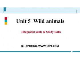 《Wild animals》Integrated skills & Study skills PPT习题课件