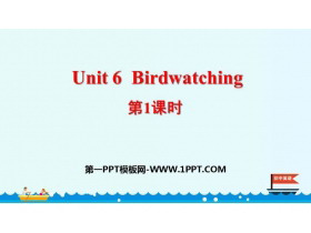《Birdwatching》PPT课件(第1课时)