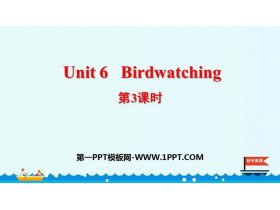 《Birdwatching》PPT课件(第3课时)