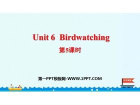 《Birdwatching》PPT课件(第5课时)