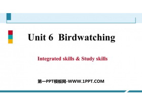 《Birdwatching》Integrated skills & Study skills PPT习题课件