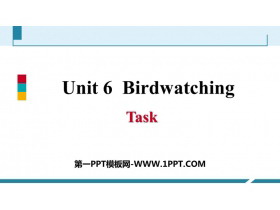 《Birdwatching》Task PPT习题课件