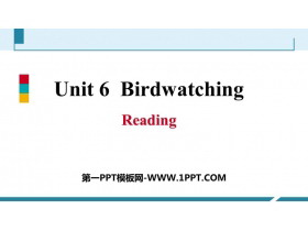 《Birdwatching》Reading PPT习题课件