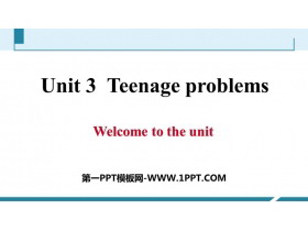 《Teenage problems》PPT习题课件