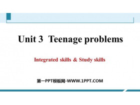 《Teenage problems》Integrated skills&Study skills PPT习题课件