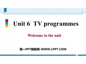 《TV programmes》PPT习题课件