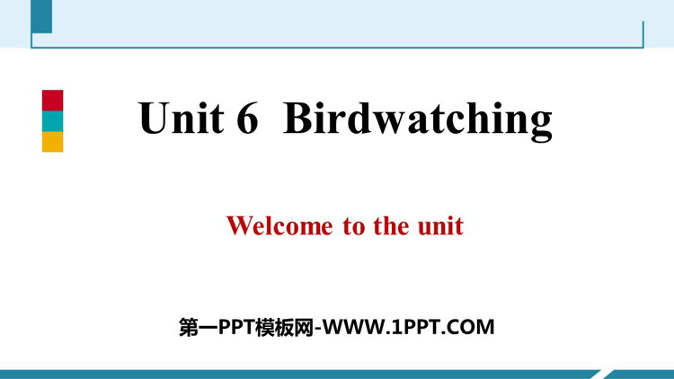 《Birdwatching》PPT习题课件