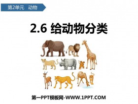 《给动物分类》PPT下载
