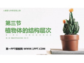 《植物体的结构层次》PPT教学课件