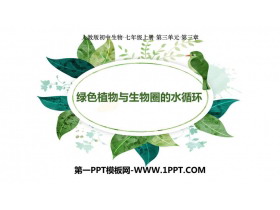 《绿色植物与生物圈的水循环》PPT免费课件