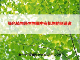 《绿色植物是生物圈中有机物的制造者》PPT课件下载