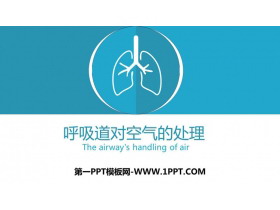 《呼吸道对空气的处理》PPT教学课件