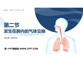 《发生在肺内的气体交换》PPT教学课件