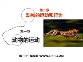 《动物的运动》PPT课件下载