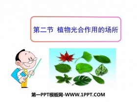《植物光合作用的场所》PPT教学课件