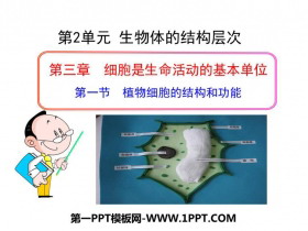 《植物细胞结构和功能》PPT课件下载