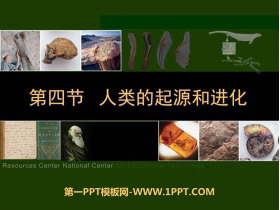 《人类的起源和进化》PPT优质课件