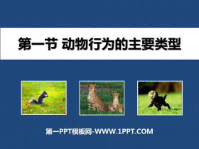 《动物行为的主要类型》PPT课件下载