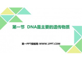 《DNA是主要的遗传物质》PPT下载