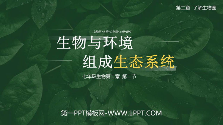 《生物与环境组成生态系统》PPT课件下载