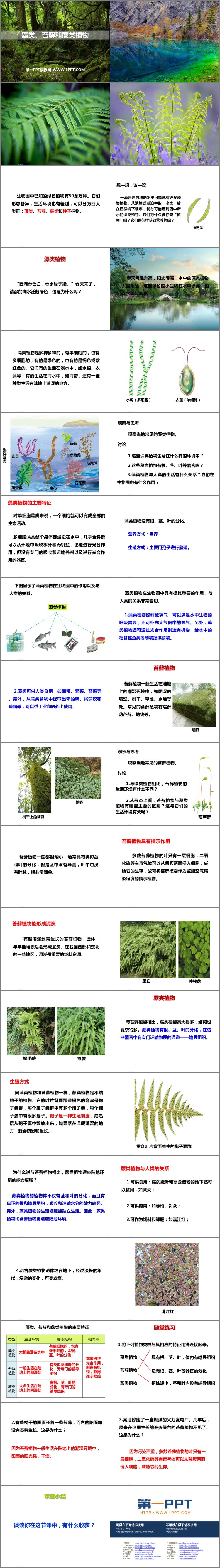 《藻类、苔藓和蕨类植物》PPT课件下载